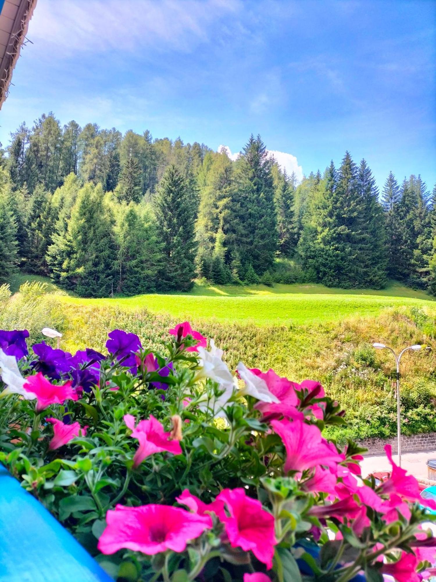 Hotel Vael Vigo di Fassa Esterno foto